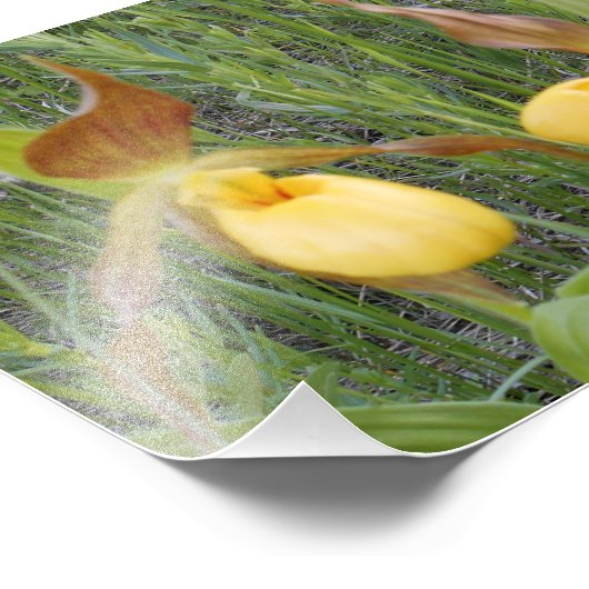 Impression photo 7x5 (Coin)