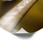 Impression Photo 8379-2-libellule bleu (Coin)