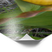 Impression photo 8,5 x 11 (Coin)