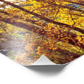 Impression Photo 8 by 10 my view (Coin)