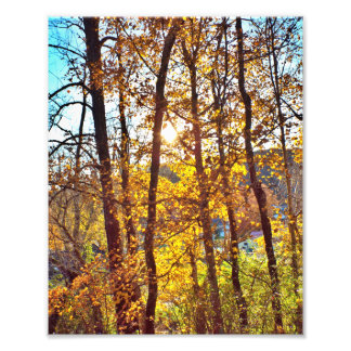 Impression Photo 8 by 10 my view