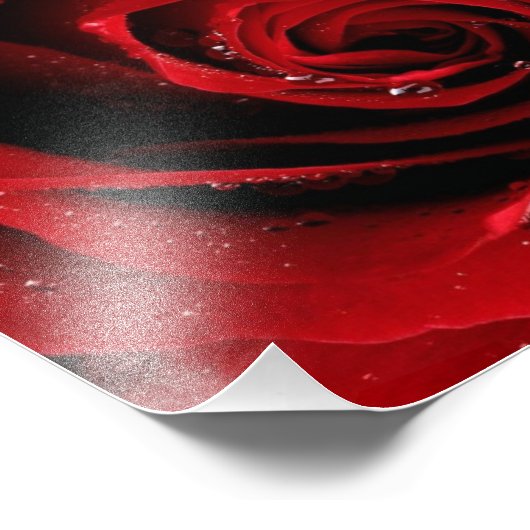 Impression photo 8x10 (Coin)