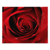 Impression photo 8x10 (Devant)