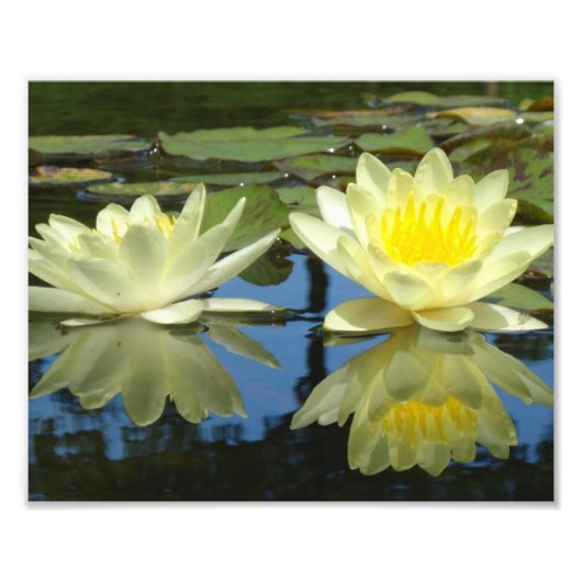 Impression Photo 8x10 jaune-doux (Devant)