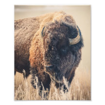 8x10 Print - Frosty Morning