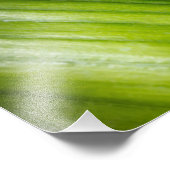 Impression Photo 9206-Feuilles verts (Coin)
