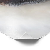 Impression Photo A English bulldog en Belgique. (Coin)