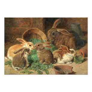 Impression Photo A Mother Rabbit and her Young par Alfred Barber