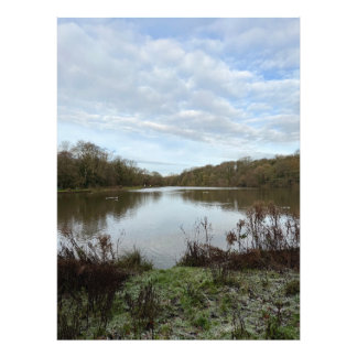 Impression Photo A peacful lake..