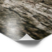 Impression Photo A squirrel perched on the knob of a tree. (Coin)