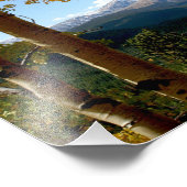 Impression Photo À travers l'Aspen (Coin)