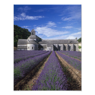 Impression Photo Abbaye de Sénanque, Gordes, Vaucluse, Provence,