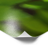 Impression Photo Abee (Coin)