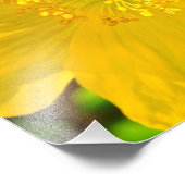 Impression Photo Abee (Coin)