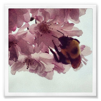 Impression Photo Abeille aquarelle