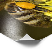 Impression Photo Abeille au travail (Coin)