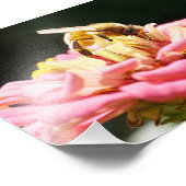 Impression Photo Abeille de miel mignonne sur une fleur rose de Zin (Coin)