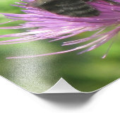 Impression photo Abeille et chardon (Coin)