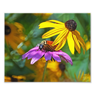 Impression Photo Abeille et fleurs