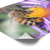 Impression Photo Abeille sur fleur rose pourpre (Coin)