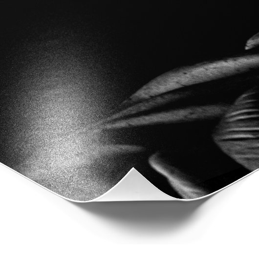 Impression Photo Abraham Lincoln (Coin)