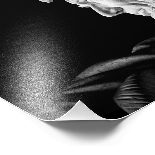 Impression Photo Abraham Lincoln (Coin)