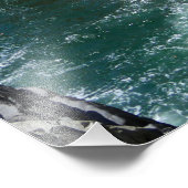 Impression Photo Acapulco Cliff Diver (Coin)