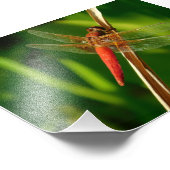 Impression Photo Accrocher (Coin)