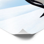 Impression Photo Adelie Penguins (Coin)