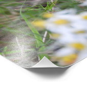 Impression Photo Adorable Chipmunk en fleurs (Coin)