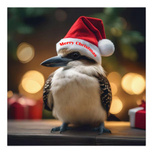 Impression Photo adorable Noël Kookaburra,