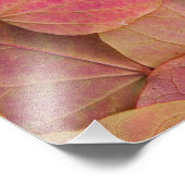 Impression Photo Affaire color on Forest Pansy Redbud (Coin)