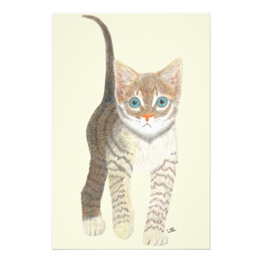 Impression Photo Affiche Chat Tigre 24x36 (Devant)