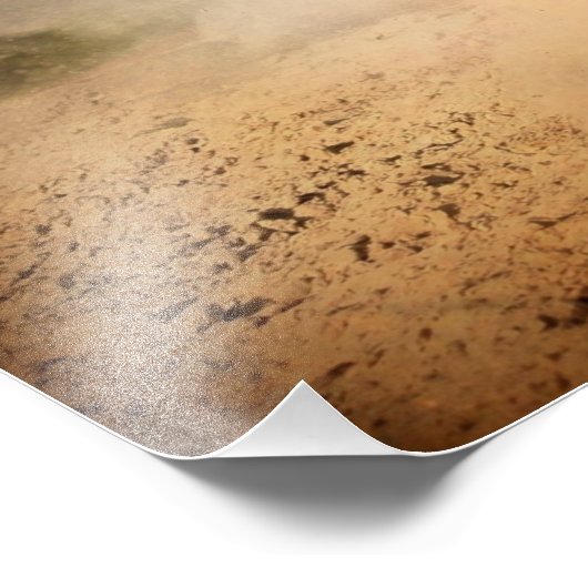 Impression Photo affiche de cheval sauvage (Coin)