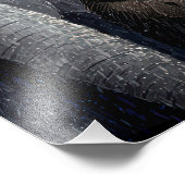 Impression Photo Affiche de couleur Amis Animaux Fantaisistes Descr (Coin)