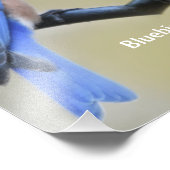 Impression Photo Affiche de haïku Bluebird (Coin)