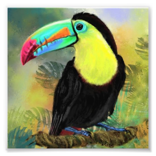 Impression Photo Affiche de Toucan (Devant)