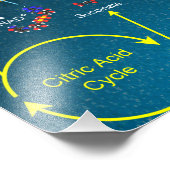 Impression Photo Affiche de transport électronique (Coin)