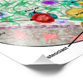 Impression Photo Affiche des cellules souches hématopoïétiques (Coin)