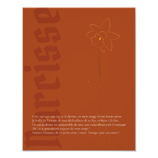 Impression Photo Affiche Narcisse