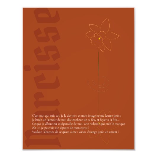 Impression Photo Affiche Narcisse (Devant)