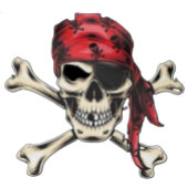 IMPRESSION PHOTO AFFICHE PIRATE JOLLY ROGER