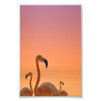 Impression Photo Affiche Tropicale Flamant du Coucher de Soleil