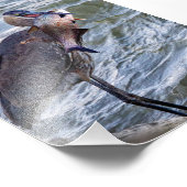 Impression Photo Afficher le Grand Héron Bleu (Coin)