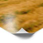 Impression Photo Afrique, Namibie, Okonjima. Lone (Coin)