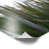 Impression Photo After the rain (Coin)