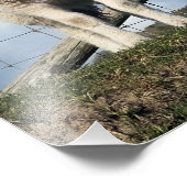 IMPRESSION PHOTO AGNEAU CUIT (Coin)