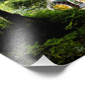 IMPRESSION PHOTO AGRICULTURE (Coin)