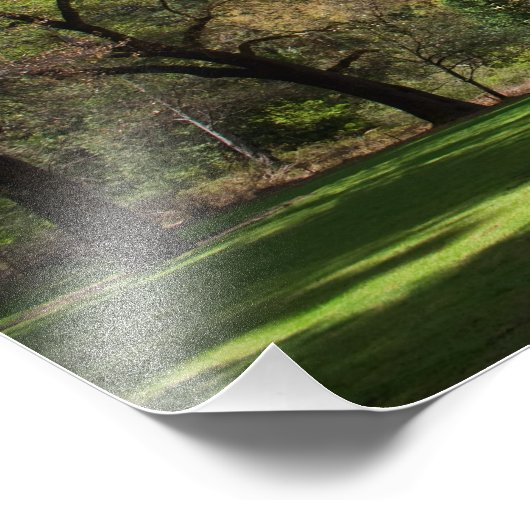 Impression Photo Ahwahnee (Coin)