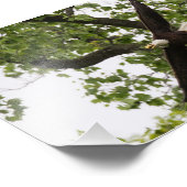 Impression Photo Aigle (Coin)